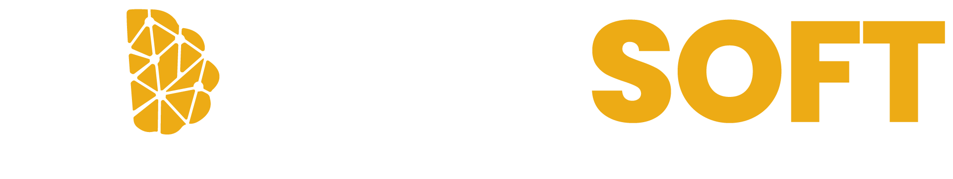 Newsoft
